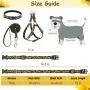 PUPTECK No Pull Dog Harness with Leash and Collar Set - Sunflower Adjustable and Durable Dog Harness for Small Medium Dogs Outdoor Walking