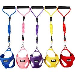 Jecikelon Small Pet Dog Vest Harness and Leash Set Step in Adjustable Mesh Cat Dog Harness Comfortable Padded Handle Dog Leash Great for Training Walking