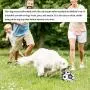 TIRTI Upgrade Dog Soccer Ball with Grab Tabs, Interactive Football Puppy Balls for Small & Medium Breeds, Fun Water Pet Dog Toys TIRTI Upgrade Dog Soccer Ball with Grab Tabs, Interactive Football Puppy Balls for Small & Medium Breeds, Fun Water Pet Dog Toys