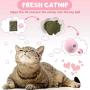 Dorakitten 3PCS Cat Toy Ball Interactive Cat Training Toy Pet Playing Ball Pet Squeaky Toy