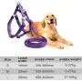HUIYOU Puppy Harness Leash Set, Heavy Duty Training Dog Vest Perfect for Large Medium Small Dogs (S, Purple)
