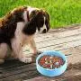 Pet Bowl, Environmentally Friendly Materials Feeder Dog Cat Bowl Slow Feeder(Blue) Pet Bowl, Environmentally Friendly Materials Feeder Dog Cat Bowl Slow Feeder(Blue)