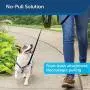 PetSafe 3 in 1 Harness - No-Pull Dog Harness - for X-Small, Small, Medium and Large Breeds - from the Makers of the Easy Walk Harness PetSafe 3 in 1 Harness - No-Pull Dog Harness - for X-Small, Small, Medium and Large Breeds - from the Makers of the Easy Walk Harness