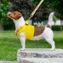 BINGPET Cat Harness and Puppy Harness with Leash Set - Soft Mesh Yellow Dog Vest Harness with Sunflower Pattern, for Small Dogs Cats