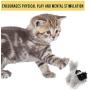 OurPets Play-N-Squeak Backyard Interactive Cat Toy (Cat Toys for Indoor Cats with Catnip-Real Mouse Electronic Sound) Cat Plush Catnip Toys, Catnip Toys for Cats, Interactive Cat Toys for Indoor Cats