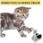 OurPets Play-N-Squeak Backyard Interactive Cat Toy (Cat Toys for Indoor Cats with Catnip-Real Mouse Electronic Sound) Cat Plush Catnip Toys, Catnip Toys for Cats, Interactive Cat Toys for Indoor Cats OurPets Play-N-Squeak Backyard Interactive Cat Toy (Cat Toys for Indoor Cats with Catnip-Real Mouse Electronic Sound) Cat Plush Catnip Toys, Catnip Toys for Cats, Interactive Cat Toys for Indoor Cats