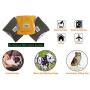 Dolzzeiy 3 Pack Dog Cloth Diaper Machine Washable Dog Belly Band Durable Dog Wrap High Absorbing Dog Suspends Reusable Male Dog Diaper (Medium)