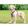 PENIVO Dog Harness for Large Dogs,No-Pull Mesh Vest Adjustable Chest Pet Reflective Harness for Medium Dogs Running and Walking Outdoor