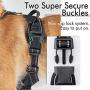 rabbitgoo Dog Harness & Dog Nail Clippers with File Set - Adjustable No Pull Dog Vest with Leash Clips(S) | Safety Pet Nail Trimmer Cat Claw Grooming Tool Painless Paw Scissors(Black Red)