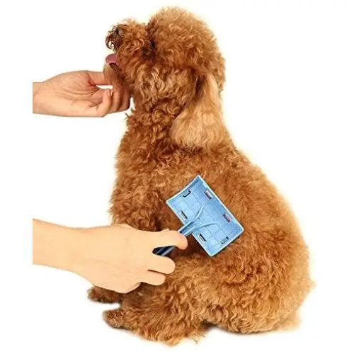 Hengzhi Pet Dog Supplies, Brush Pet Steel Comb Exfoliating Scrub, Grooming Combs for Dog/Cat, Blue Hengzhi Pet Dog Supplies, Brush Pet Steel Comb Exfoliating Scrub, Grooming Combs for Dog/Cat, Blue