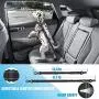 Bougainvillea Pet Seat Belt for Car, Anipaw Adjustable Double Buckle Dog Seatbelt Harness, Puppy Safety Nylon Vehicle Tether with Storage Bag for Travel, Daily Use Bougainvillea Pet Seat Belt for Car, Anipaw Adjustable Double Buckle Dog Seatbelt Harness, Puppy Safety Nylon Vehicle Tether with Storage Bag for Travel, Daily Use