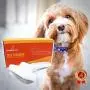 Emperor Pets Self Cleaning Slicker Brush for Dogs & Cats - Removes Tangled Hair, Undercoat Brush for Dogs, Dog Grooming Brush, Great Dog Brush for Shedding Long Hair Dog Brush Long Hair Cat Brush Emperor Pets Self Cleaning Slicker Brush for Dogs & Cats - Removes Tangled Hair, Undercoat Brush for Dogs, Dog Grooming Brush, Great Dog Brush for Shedding Long Hair Dog Brush Long Hair Cat Brush