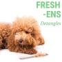 PeachyDog DogFresh Soothing, Cleansing, Dander Removing Spray for Dogs and Cats with Problem Skin