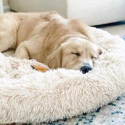 Dog Bed Anti Anxiety Calming Bed for Pets - ReDesignHub