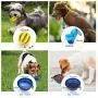 N A PuppyDoggy 2 Pack Collapsible Dog Bowl for Travel Dog Slow Feeder Bowl Water Dish Portable & Dog Toy Ball Chewing Training & Dog Poop Bag Dispenser for Dogs and Cats N A PuppyDoggy 2 Pack Collapsible Dog Bowl for Travel Dog Slow Feeder Bowl Water Dish Portable & Dog Toy Ball Chewing Training & Dog Poop Bag Dispenser for Dogs and Cats