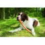 Beeztees Sumo Fit Stick Dog Toy, 3 x 3 x 50 cm, Green