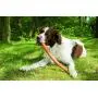Beeztees Sumo Fit Stick Dog Toy, 3 x 3 x 50 cm, Green Beeztees Sumo Fit Stick Dog Toy, 3 x 3 x 50 cm, Green