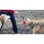 SodaPup MuttsKickButt Dog Toy - Natural Rubber Heart on a String Reward Ball - Chew & Dental Toy - Aggressive Chewers - Red