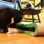 Premium Cat Scratcher by GoPets, Infinity Lounge Corrugated Cardboard is Reversible with Additional Insert to Last 4X Longer, Includes 1 Pack Catnip, Ergonomic Scratching Post, Cutouts to Hide Toys Premium Cat Scratcher by GoPets, Infinity Lounge Corrugated Cardboard is Reversible with Additional Insert to Last 4X Longer, Includes 1 Pack Catnip, Ergonomic Scratching Post, Cutouts to Hide Toys