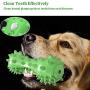 iBune Dog Chew Toy, Dog Toys, Dog Teeth Cleaning Stick, Squeaky Dog Chew Toothbrush Toys Natural Rubber Dental Care Chewing Cleaning Stick for Small Medium Dogs (Green)