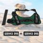 voopet No Pull Service Dog Harness,Therapy Dog Vest Harness with Reflective Straps,Lightweight Breathable and Adjustable Pet Halters,Easy On and Off Pet Vest Harness for Small Medium Large Dogs