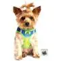 DOGGIE DESIGN American River Ombre - Cobalt Sport Ultra Choke Free Dog Harness in Size Small (Chest 13''-16'', for Pets Weighing 6-11Lbs.) DOGGIE DESIGN American River Ombre - Cobalt Sport Ultra Choke Free Dog Harness in Size Small (Chest 13''-16'', for Pets Weighing 6-11Lbs.)