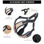 Dog Harness - No Pull Adjustable Soft Air Mesh Vest Harness and Leash Set for Small and Medium Dogs Puppy Cats