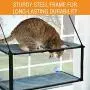 K&H PET PRODUCTS K&H Manufacturing EZ Mount Kitty Window Sill K&H PET PRODUCTS K&H Manufacturing EZ Mount Kitty Window Sill
