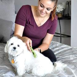 Safari by Coastal Mat Remover with Stainless Steel Blades to Easily Remove Mats & Tangles from Dogs of All Coat Types (W6117)