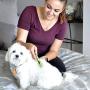 Safari by Coastal Mat Remover with Stainless Steel Blades to Easily Remove Mats & Tangles from Dogs of All Coat Types (W6117)