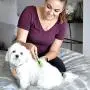 Safari by Coastal Mat Remover with Stainless Steel Blades to Easily Remove Mats & Tangles from Dogs of All Coat Types (W6117) Safari by Coastal Mat Remover with Stainless Steel Blades to Easily Remove Mats & Tangles from Dogs of All Coat Types (W6117)