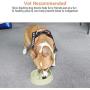 Pet Fun Slow Feeder Dog Cat Bowl Feeder Interactive Bloat Stop Dog Cat Water Bowl Non-Slip Puzzle Bowl Anti-Gulping Pet Slower Food Feeding Dishes Eco-Friendly Durable, Safe Healthy