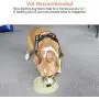 Pet Fun Slow Feeder Dog Cat Bowl Feeder Interactive Bloat Stop Dog Cat Water Bowl Non-Slip Puzzle Bowl Anti-Gulping Pet Slower Food Feeding Dishes Eco-Friendly Durable, Safe Healthy Pet Fun Slow Feeder Dog Cat Bowl Feeder Interactive Bloat Stop Dog Cat Water Bowl Non-Slip Puzzle Bowl Anti-Gulping Pet Slower Food Feeding Dishes Eco-Friendly Durable, Safe Healthy