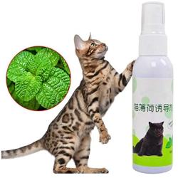 Pet Cat Catnip Spray for Scratching Post Natural Healthy Toys to Make Cat be Excited Catnip Organic Liquid Fresh Extract Spray Teaser Cat 1PC