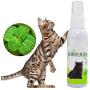 Pet Cat Catnip Spray for Scratching Post Natural Healthy Toys to Make Cat be Excited Catnip Organic Liquid Fresh Extract Spray Teaser Cat 1PC