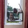 LIFIS Cat Window Perch Cat Window Bed Hammock Up to 55lb Can Be Installed on Small Window Soft Mats Stable Metal Frames Kitty Sunny Seat (Double layers, Grey) (Cat Face)