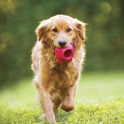 Hero Duramax, Natural Rubber Bone Ball, Treat Dispensing Dog Toy