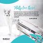 RUBOLD Professional Dog Grooming Scissors Set - Stainless Steel Rounded Tip Sharp Durable Shears with Pet Grooming Comb in Kit - Best Tools for Trimming Every Dog and Cat Salon Cut
