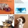 Cat Bowls,Small Dog Bowls, Raised Dog Cat Food Water Bowl with Elevated Stand, Tilted Pet Feeder Dish Can Be Adjusted at Will Between 0-22°for Cat/Kitten and Small Dog/Puppy. Cat Bowls,Small Dog Bowls, Raised Dog Cat Food Water Bowl with Elevated Stand, Tilted Pet Feeder Dish Can Be Adjusted at Will Between 0-22°for Cat/Kitten and Small Dog/Puppy.