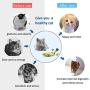 Floppy Fish Cat Toy,Interactive Fish Cat Toys,11''USB Charging Dancing Fish Cat Toy,Made of Cotton and Short Plush,Cat Kicker Fish Toy Can Chew and Kick,Reducing Stress for Cats.（Must Tap to Start）