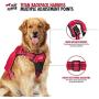 Titan - Backpack For Dogs | Dog Backpack For Hiking w/ 3M Reflective Stitching Increases Safety At Night | Front And Back Leash Attachment Points | 5 Point Adjustable Fit Harness For Dogs | Dog Vest