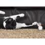 OurPets Play-N-Squeak at Night Twinkle Mouse Light-Up Cat Toy
