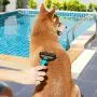 Dogeez Dematting Tool for Dogs | Gentle Grooming to Detangle Matted Fur and Stop Shedding | Dual Sided Undercoat Rake for Small, Medium and Long Hair Dog, Cat, and Other Pets | Undercoat Brush Comb Dogeez Dematting Tool for Dogs | Gentle Grooming to Detangle Matted Fur and Stop Shedding | Dual Sided Undercoat Rake for Small, Medium and Long Hair Dog, Cat, and Other Pets | Undercoat Brush Comb