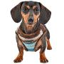 Puppia Crayon Harness B, Small, Navy