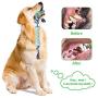 Brandless Dog Toothbrush Stick Dog Chew Toy for Aggressive Chewers Dog Teeth Cleaning Sticks for Puppies Puppy Chew Toys