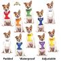 Dexil Limited Therapy Dog Blue Color Coded Non-Pull Front and Back D Ring Padded and Waterproof Vest Dog Harness Prevents Accidents by Warning Others of Your Dog in Advance