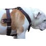Genuine Leather Dog Harness X-Large 33''-40'' Chest, 1.3'' Wide Adjustable Straps
