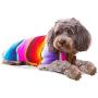Handmade Dog Poncho from Mexican Serape Blanket - Dog Clothes - Coat - Costume - Sweater - Vest