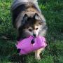 SmartPetLove Tender-Tuffs Big Shots - Tough Plush Dog Toys for Large Breeds - Plump Pink Pig