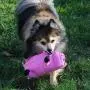 SmartPetLove Tender-Tuffs Big Shots - Tough Plush Dog Toys for Large Breeds - Plump Pink Pig SmartPetLove Tender-Tuffs Big Shots - Tough Plush Dog Toys for Large Breeds - Plump Pink Pig